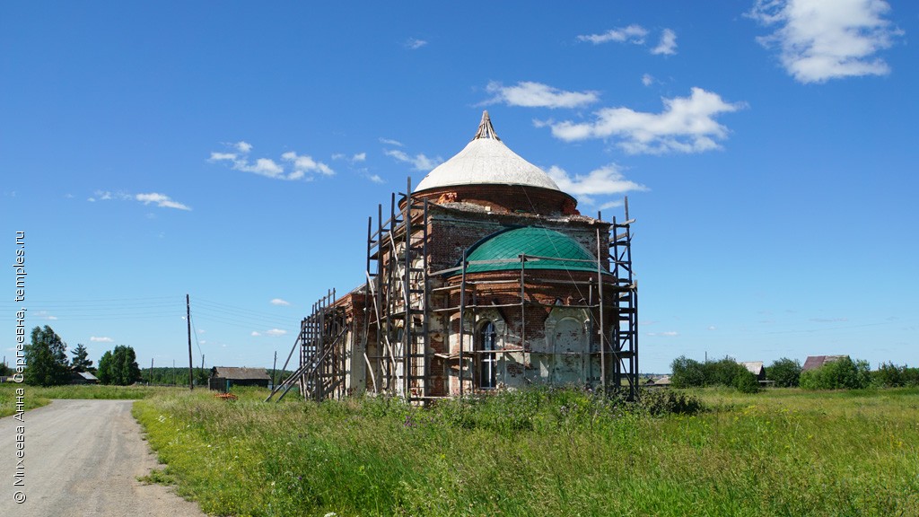 Кулики