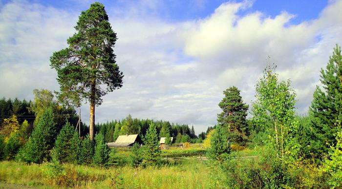 Антипинский