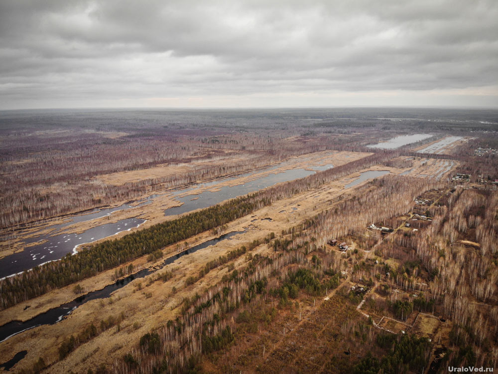 Кедровое