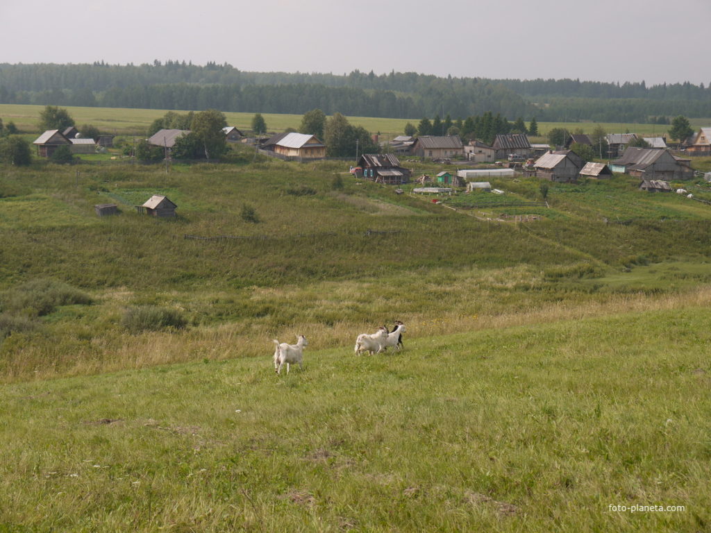 Пермяки