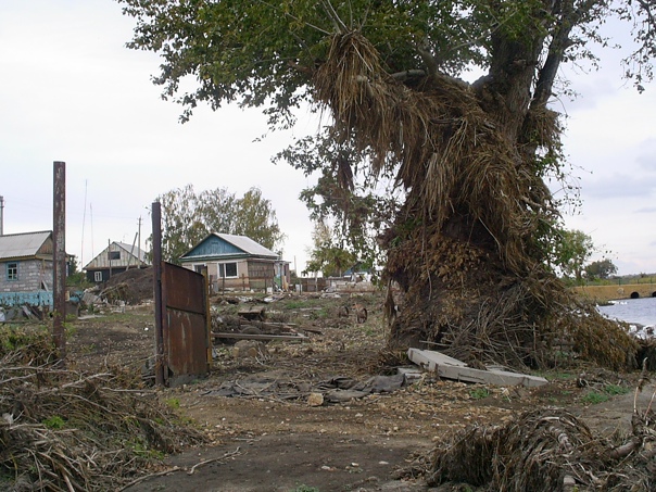 Кулевчи