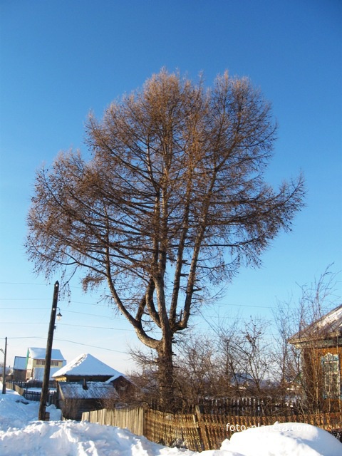 Первомайский