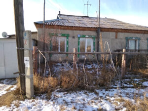 Лебединое