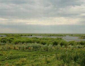 Бускульский