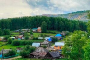 Ельничный