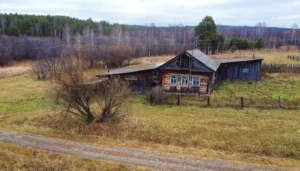 Курга