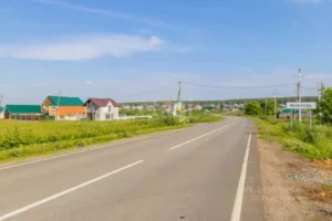 Мамаева