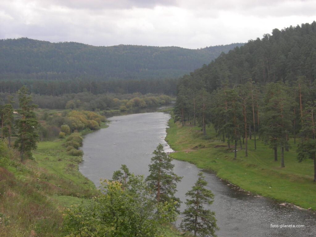 Медведевка