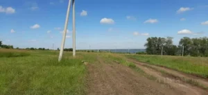 Полевой