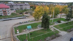 Саргазы